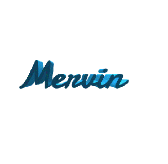 mervin boy male man first name decoration art home day bricoloup 3d 3d print model - Mito3D