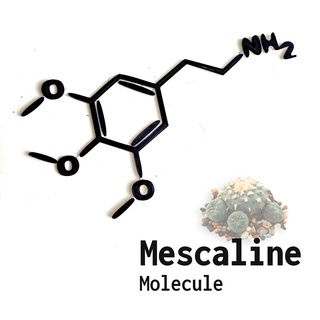 mescalina molécula casa parede arte psicodélicos drogas 2d 3d print model - Mito3D
