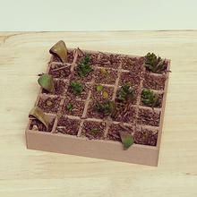 Mikro Bauernhof 5x5 Pflanzen Gartenarbeit Pflanzer Garten 3d print model - Mito3D