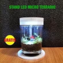 micro terrario LED estante soporte 3d print model - Mito3D