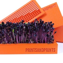 Microgreens Kit wachsen Superfood Hydrokultur Innen Garten städtisch Landwirtschaft rot Rettich Pflanzen 3d print model - Mito3D