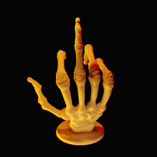 middle-finger skeleton hand skull sculpture finger fingers hands art biology biologycal accurate 3d print model - Mito3D