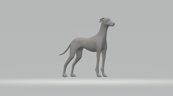 miles whippet neutral pose free 3d print model animal dog english greyhound lure coursing courser doggy canine companion miniature creature dungeons dragons art sculptures 3d print model - Mito3D