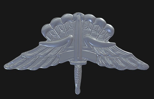 militar caida libre paracaidista Insignia 75thranger soldado Ejército Estados Unidos ejercítio EEUU militarysoldier premio paracaídas air force freefall badge 3d print model - Mito3D