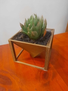 Mini Kaktus Topf Sukkulenten 3d print model - Mito3D