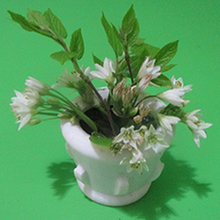 mini fleur pot fleurs 3d print model - Mito3D