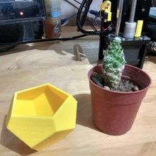 mini vaso di fiori 2 casa giardino all'aperto incipiente pot piante plantas macetas cactus cup 3d print model - Mito3D