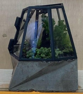 mini greenhouse Home terrarium 3d print model - Mito3D