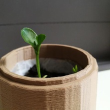 mini greenhouse planting various idea garden 3d print model - Mito3D