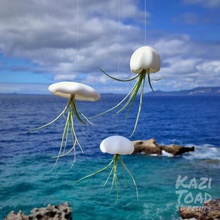 mini jellyfish air-planter set sla art airplant air plant planter air-plant airplanter sea cute 3d print model - Mito3D