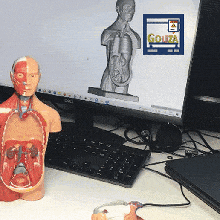 mini menschlicher torso 3d print model - Mito3D