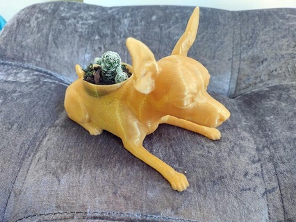 mini pinscher pinscher chien chien mini Colombie paresseux chien bonbons plantes pot fleur animal matera cactus succulentes 3d print model - Mito3D
