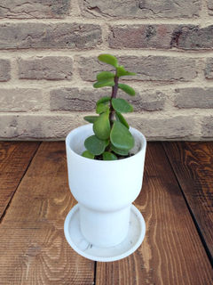 mini planter pot plant free 3d print model - Mito3D