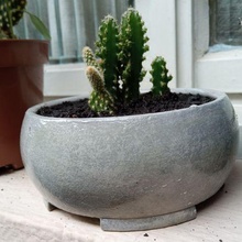 mini plantador bonsai estilo Panela suculento cacto vaso 3d print model - Mito3D