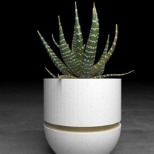 mini pots 7cm decoration minimacetas art nature 3d print model - Mito3D