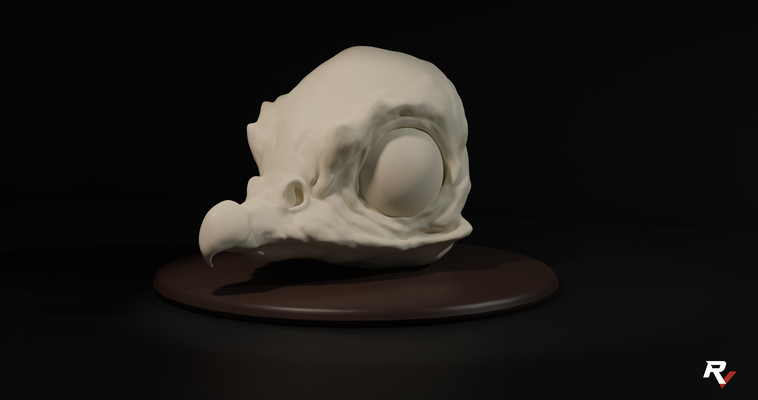mini avvoltoio cranio uccello gru testa creatura mostro carina 3d print model - Mito3D