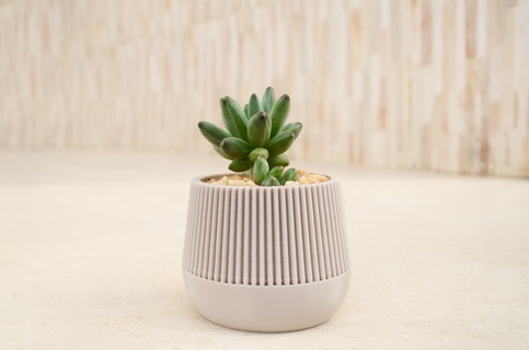 minimalist vase basic vasemode planter 3d print model - Mito3D