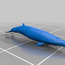 vizon balina 3d print model - Mito3D
