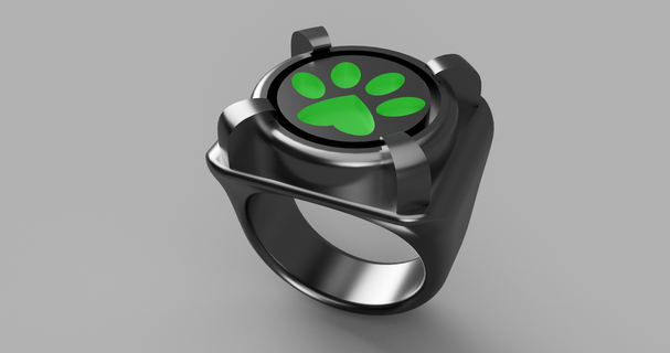 milagroso joyas gato negro anillo mariquita juego rol cosplay superhéroes accesorios 3d print model - Mito3D