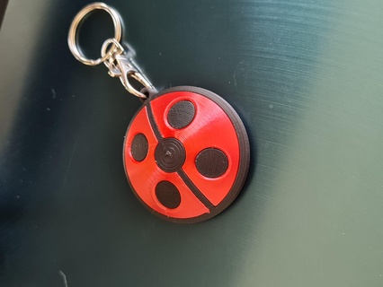 miraculous ladybug key ring pendant 3d print model - Mito3D