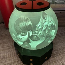 miracoloso sferica notte luce litofania lampada signora bug nero gatto coccinella litografia litofago bambino 3d print model - Mito3D