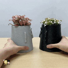 moai pot fleur 3d print model - Mito3D