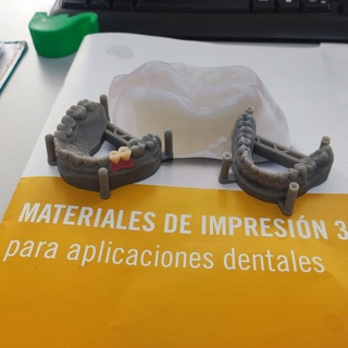 modelos dentales con enc falsa resina biocompatible dental model false gum resin models prosthetic dentistry education research development prosthodontist 3d print model - Mito3D