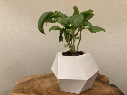 modern hexagonal plant pot Home geometry 3d print model - Mito3D