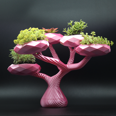 modern pflanzer bonsai zuhause haus minimalistisch poly blumentopf 3d print model - Mito3D