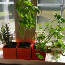 modüler kilitleme ot pencere ev otlar bitki kap bitkiler kaplar 3d print model - Mito3D