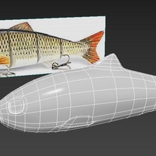 mojarra esca pesca Accessori pesce sego 3d print model - Mito3D
