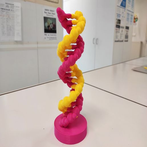 mol cule 39 adn ADN molécule biologie cellule modèle moléculaire apprentissage 3D print model - Mito3D