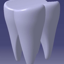 molar diş çeşitli 3d print model - Mito3D