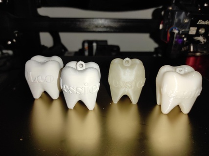 molar keychain article tooth 3d print model - Mito3D