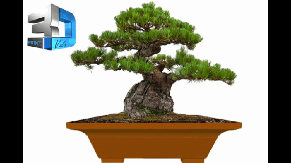 moule bonsaï pots minimaliste conception pot bois succulentes matas jardin plantes moules 3d print model - Mito3D