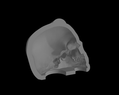 molde vaciado cr neo craneo cráneo moldes 3d print model - Mito3D