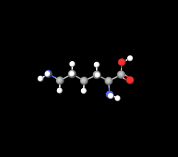 molecule aminoacid lysine moleküller organik kimya kimya 3d print model - Mito3D