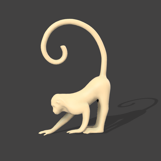 macaco 3D print model - Mito3D