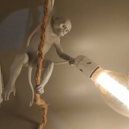 singe de la lampe maison décoration déco art belle cool animal le 3D print model - Mito3D