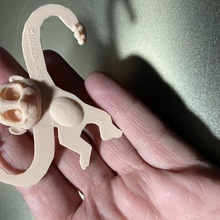 el mono de la cirugía máscara titular gadget coronavirus covid 3d print model - Mito3D