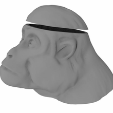 monkeybrain ice brain monkey prop animals 3d print model - Mito3D