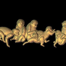 singes de la famille des l'art 3d print model - Mito3D
