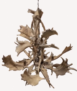 moose chandelier hunter deer horn man cave 3d print model - Mito3D