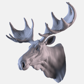 moose head 3d print model - Mito3D