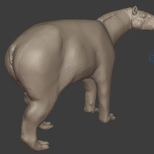 moropus oyun mini minyatür Paleoart paleontoloji hayvanlar 3d print model - Mito3D