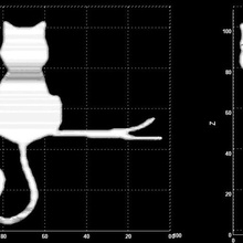 morphing cats various cat illusion 3d print model - Mito3D