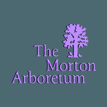 Morton arboreto attrezzo 3d print model - Mito3D