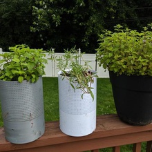 zanzara a prova di auto irrigazione fioriera casa aria prugna valvola galleggiante giardino piante piantare in vaso all'aperto 3d print model - Mito3D