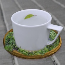 la mousse de soucoupe maison pavé sauveteur coupe thé 3d print model - Mito3D