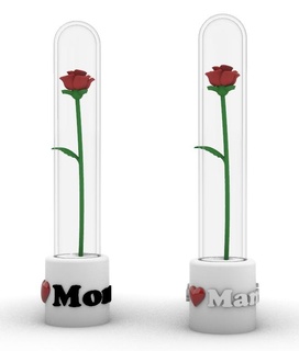 mère journée solitaire fête mères miniature rose 3d print model - Mito3D